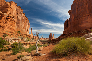 Read more about the article Westen USA – Arches Nationalpark