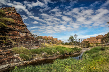Read more about the article Australien – Purnululu Nationalpark