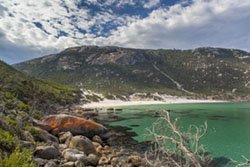 Read more about the article Nationalpark Australien Wilson Prom