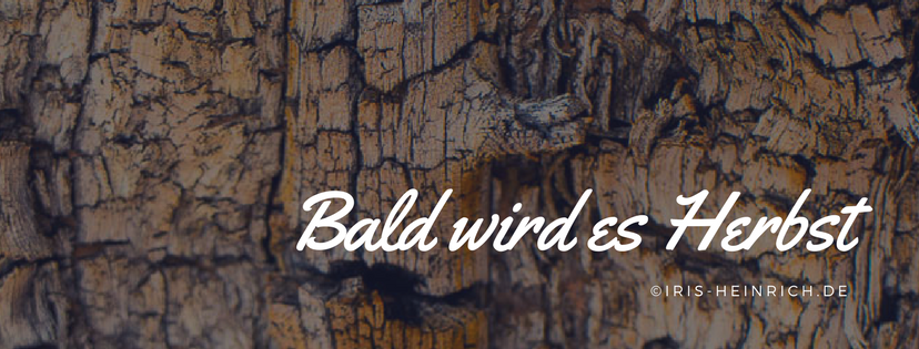 Read more about the article Bald wird es Herbst…