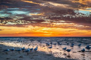 Read more about the article Australien – Sonnenuntergang Ningaloo Reef